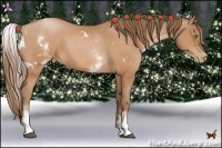Horse Color:White Spotted Bay Pearl 