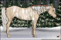 Horse Color:White Spotted Silver Black Pearl Splash Frame  Brindle