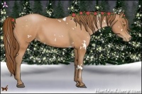 Horse Color:White Spotted Bay Pearl 