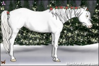 Horse Color:White Spotted Silver Brown Pearl Dun 