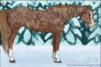 Horse Color:Chestnut Ice Splash 