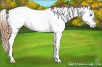 Horse Color:Chestnut Ice Splash Tobiano Rabicano 