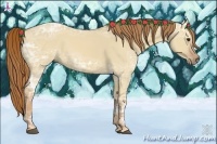 Horse Color:Red Dun Ice 