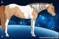 Horse Color:Gold Champagne Tobiano 