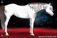 Horse Color:Sable Champagne Splash Tobiano Frame