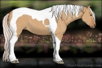 Horse Color:Silver Bay Dun Tobiano