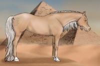 Horse Color:Silver Brown Pearl 