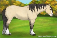 Horse Color:Buckskin Roan Dun Splash