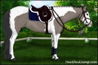 Horse Color:Grullo Splash Tobiano