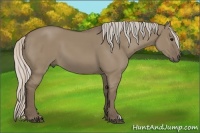 Horse Color:Silver Grullo 