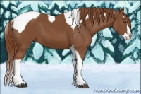 Horse Color:Chestnut Splash Tobiano