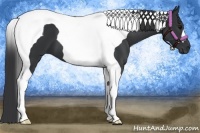 Horse Color:Black Tobiano 
