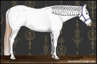 Horse Color:Gold Champagne Roan Dun Splash Tobiano Frame Blanket Rabicano 
