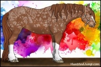 Horse Color:Chestnut Ice 