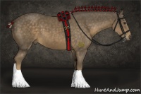 Horse Color:Chocolate Palomino 