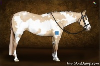 Horse Color:White Spotted Bay Pearl Dun Frame 