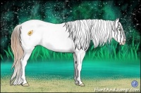 Horse Color:Amber Cream Champagne Tobiano Appaloosa 