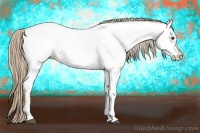 Horse Color:Palomino Dun Appaloosa