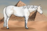 Horse Color:Silver Perlino Tobiano Frame