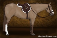 Horse Color:Liver Red Dun 