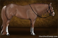 Horse Color:White Spotted Red Roan Splash