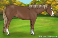 Horse Color:Chestnut Splash Frame 