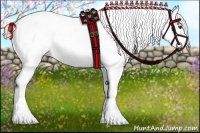 Horse Color:Liver Chestnut Tobiano Appaloosa