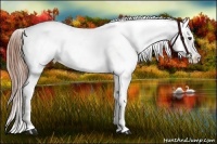 Horse Color:Red Onyx Sabino Snowcap 