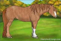 Horse Color:Chestnut  Brindle
