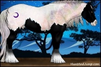 Horse Color:Nacre Chocolate Palomino Ice Dun Splash