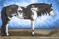 Horse Color:Smoky Black Sabino