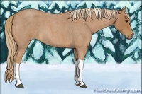 Horse Color:Red Roan Tobiano 