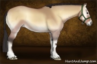 Horse Color:Buckskin Onyx 