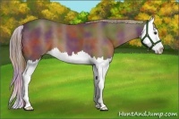 Horse Color:Nacre Liver Chestnut Splash 