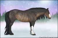 Horse Color:Brown Rabicano 