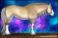 Horse Color:Silver Buckskin Onyx 