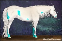 Horse Color:Cremello Onyx 