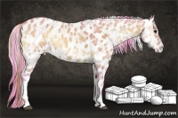Horse Color:Watercolor Buckskin Onyx Appaloosa 