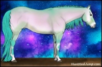 Horse Color:Watercolor Buckskin Onyx Sabino 