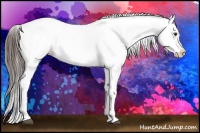 Horse Color:Liver Chestnut Sabino Appaloosa