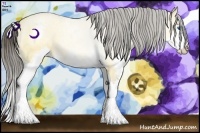 Horse Color:Sable Cream Champagne Dun Splash 