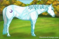 Horse Color:Thunderstruck Chocolate Palomino Splash Appaloosa 
