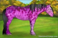 Horse Color:ERROR: UNKNOWN ANOMALY