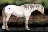 Horse Color:Brown Pearl Snowcap 