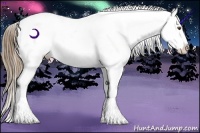 Horse Color:Liver Chestnut Ice Pearl Splash Varnish 