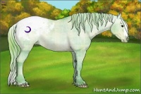 Horse Color:Watercolor Plaid Brown Appaloosa Rabicano