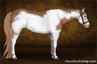 Horse Color:Chestnut Sabino Splash Frame 