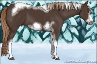 Horse Color:Liver Chestnut Sabino Tobiano Frame 