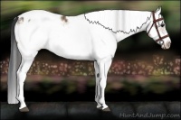 Horse Color:White Spotted Brown Dun Splash Frame Varnish 