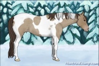 Horse Color:Classic Champagne Roan Tobiano 